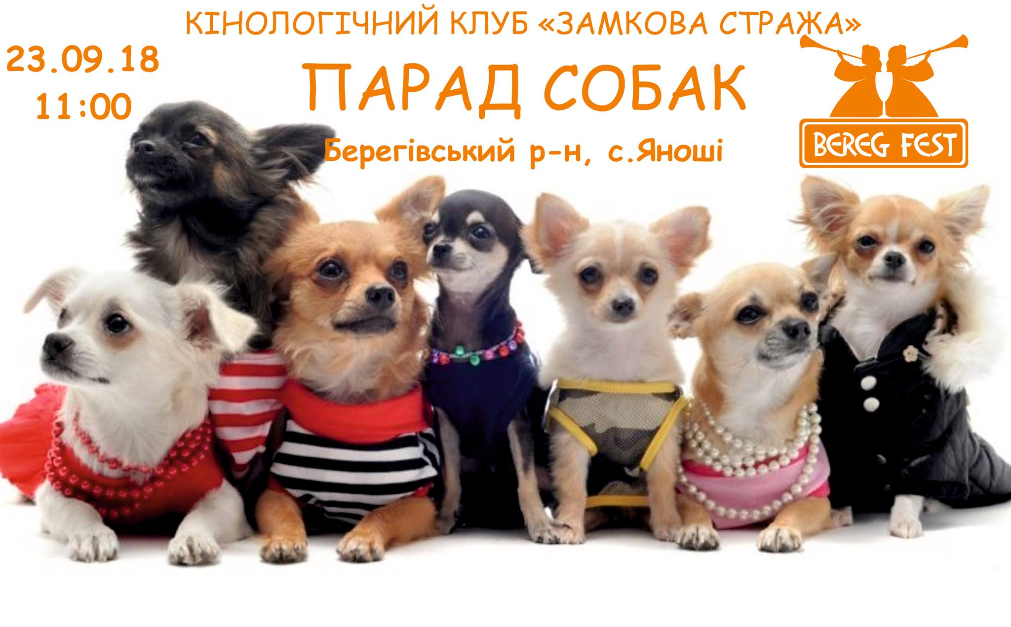 На Берегівщині у Яношах влаштують Парад собак