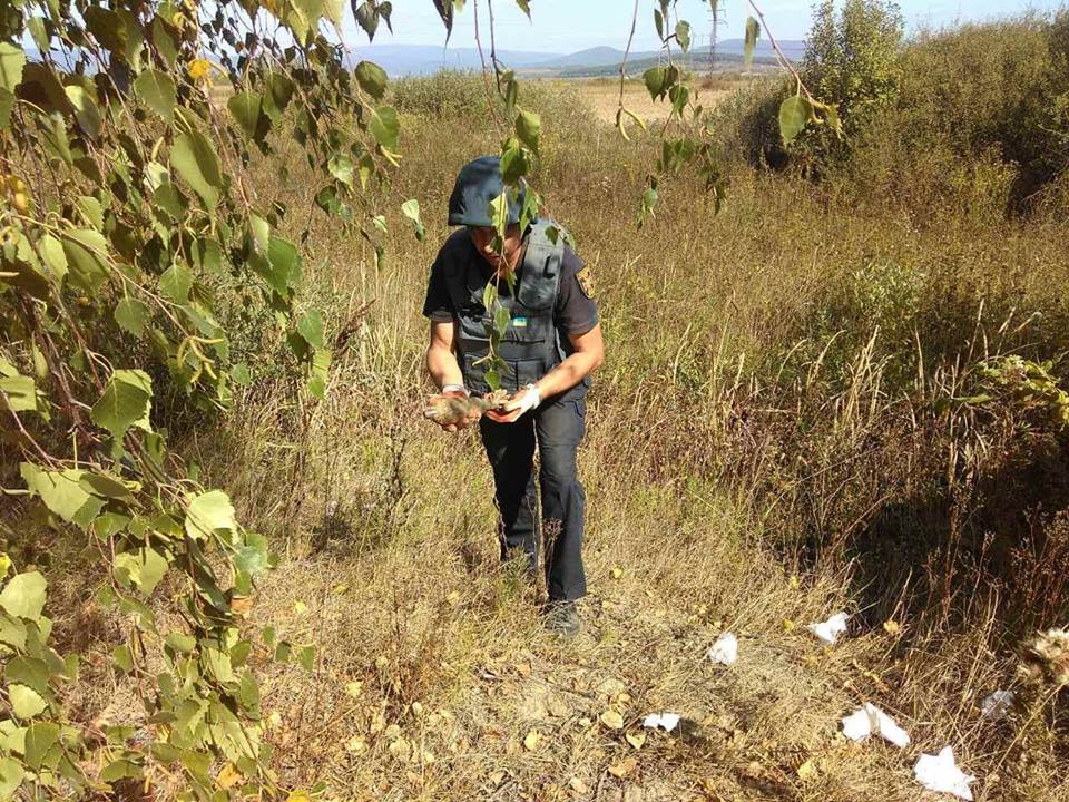 Закарпатець знайшов мінометну міну поблизу села Ракошино (ФОТО)
