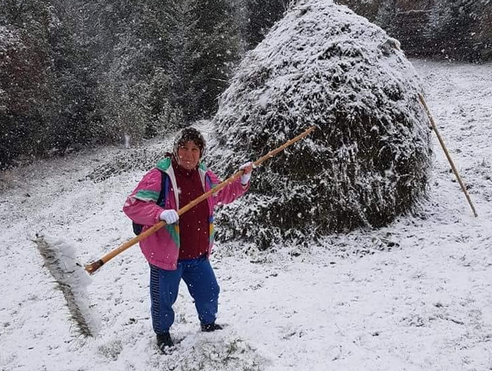 Вереснева зима: в Румунії селяни збирають врожай з-під снігу (фото, відео)