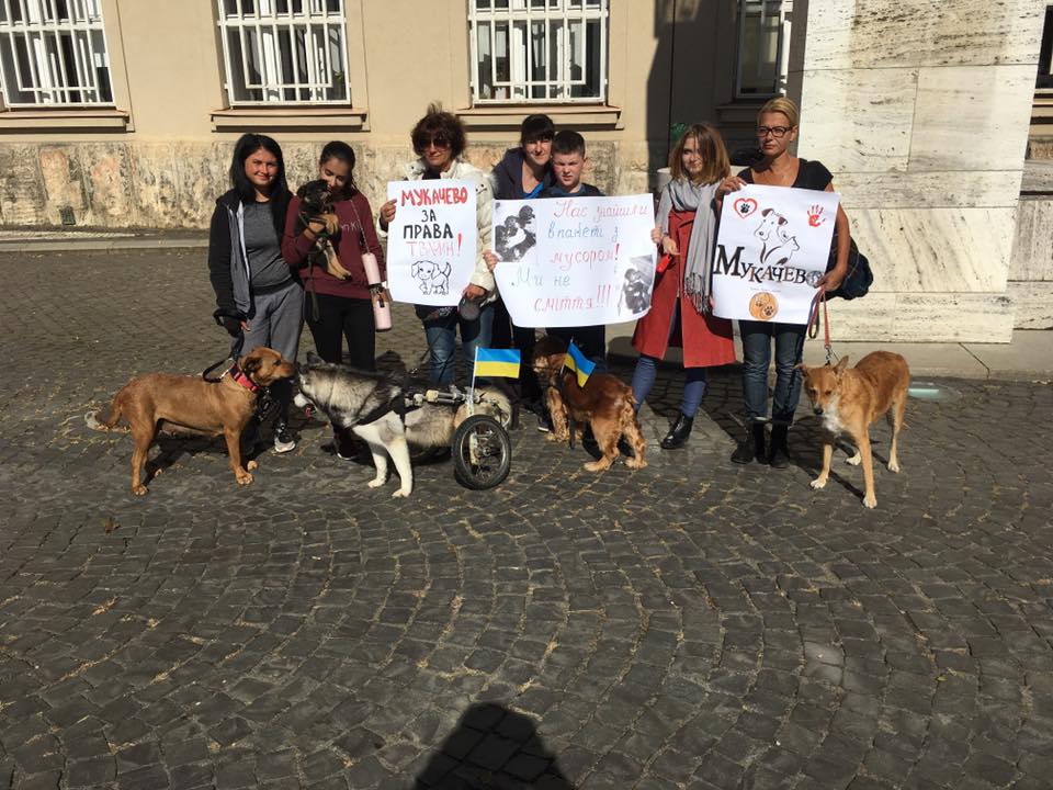 Мукачівці підтримали всеукраїнський марш за права тварин (ФОТО)