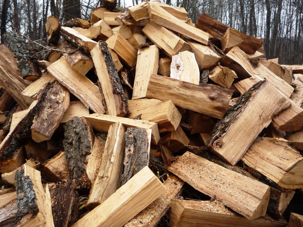 Брустрянський лісгосп - серед лідерів в області з постачання дров для населення