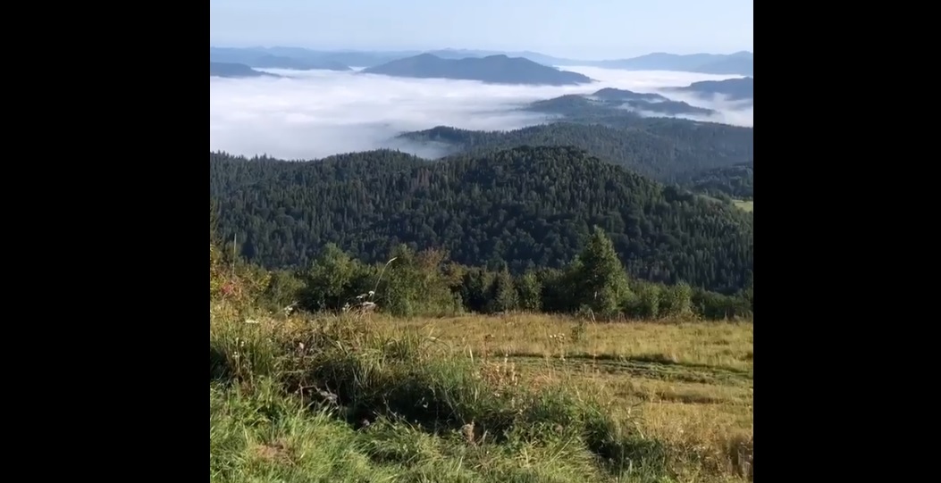 У мережі показали неймовірної краси Карпатські гори (ВІДЕО)