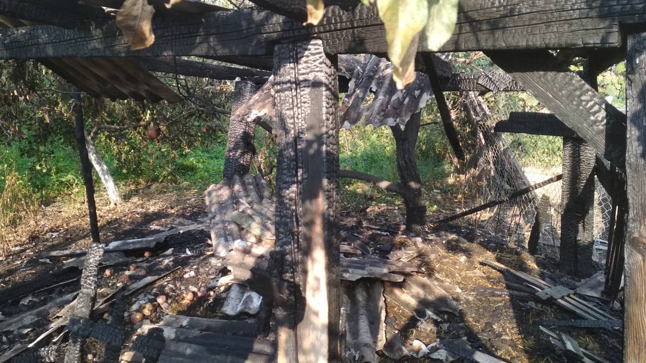 Надранок на Ужгородщині гасили пожежу: споруду врятувати не вдалося (ФОТО)