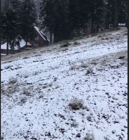 У мережі показали відео вересневого снігопаду на Закарпатті (ВІДЕО)