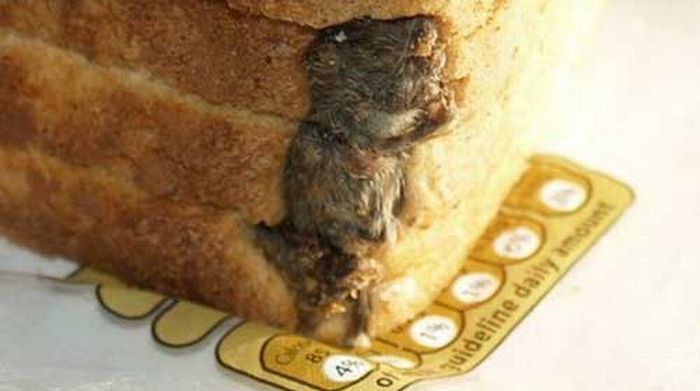 На Закарпатті продають хліб із запеченими мишами всередині (ФОТО)
