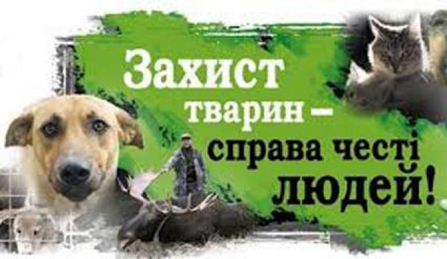 В Ужгороді пройде марш за права тварин (АНОНС)
