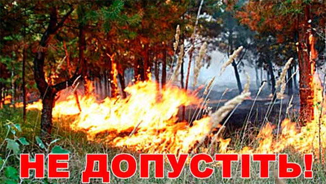 Лісова охорона Іршавщини готова зробити все для збереження лісових масивів від пожеж
