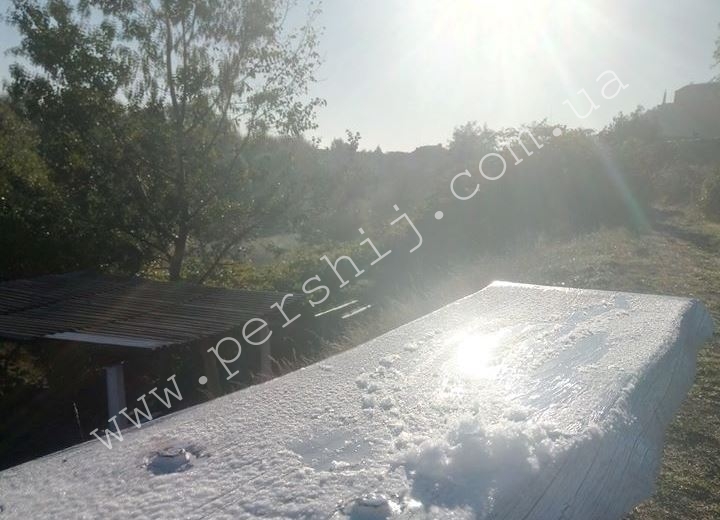 У Мукачеві зафіксували перші ранкові заморозки (ФОТО)