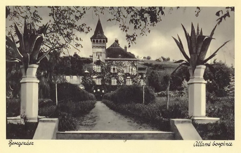 Маловідомі пам’ятки: резиденція графів Шенборнів у Берегові (фото)