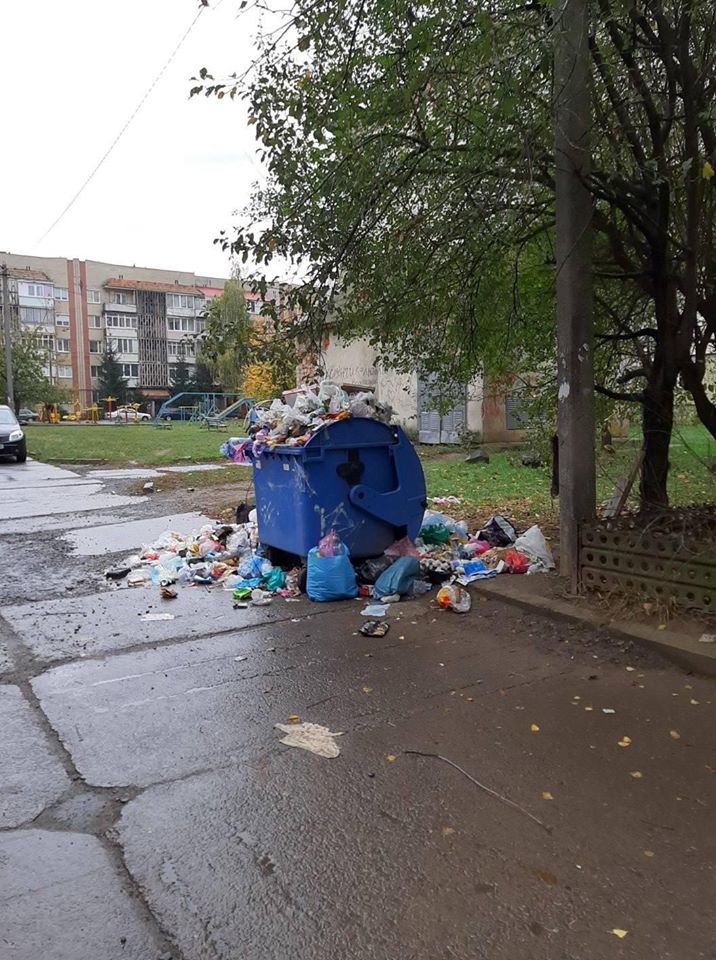 Переповнені баки та сморід: Мукачево перетворюється у сміттєзвалище (ФОТО)