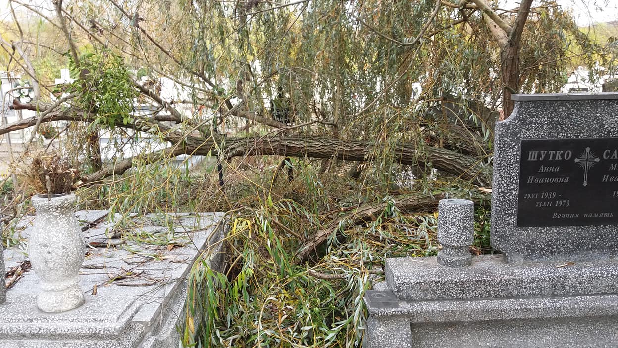 У Берегові на цвинтарі частина дерева впла на могили (ФОТО)