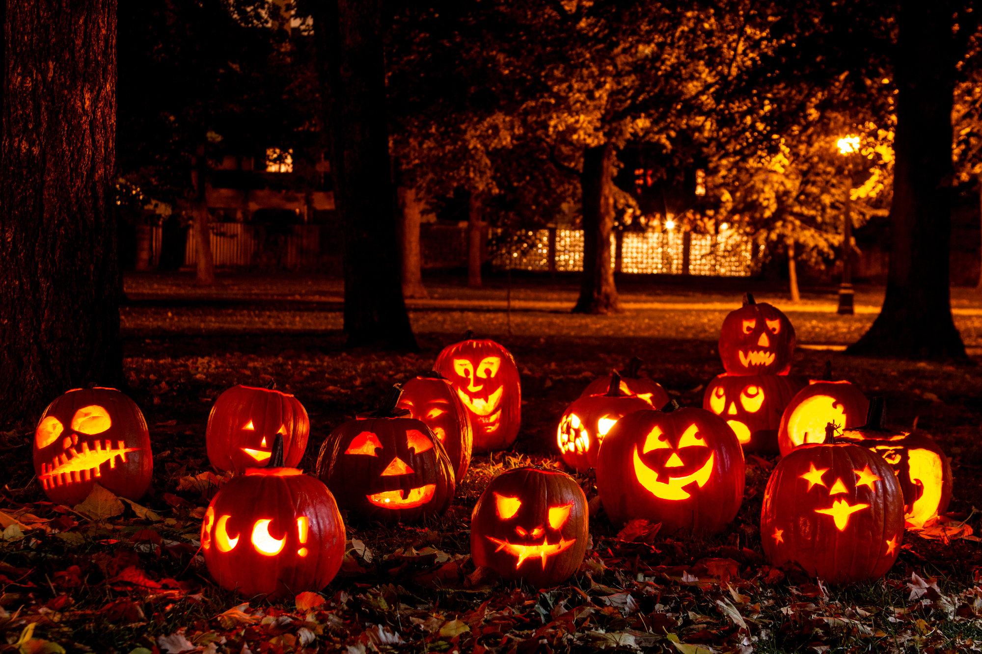 Мукачівців кличуть святкувати містичний "Halloween"