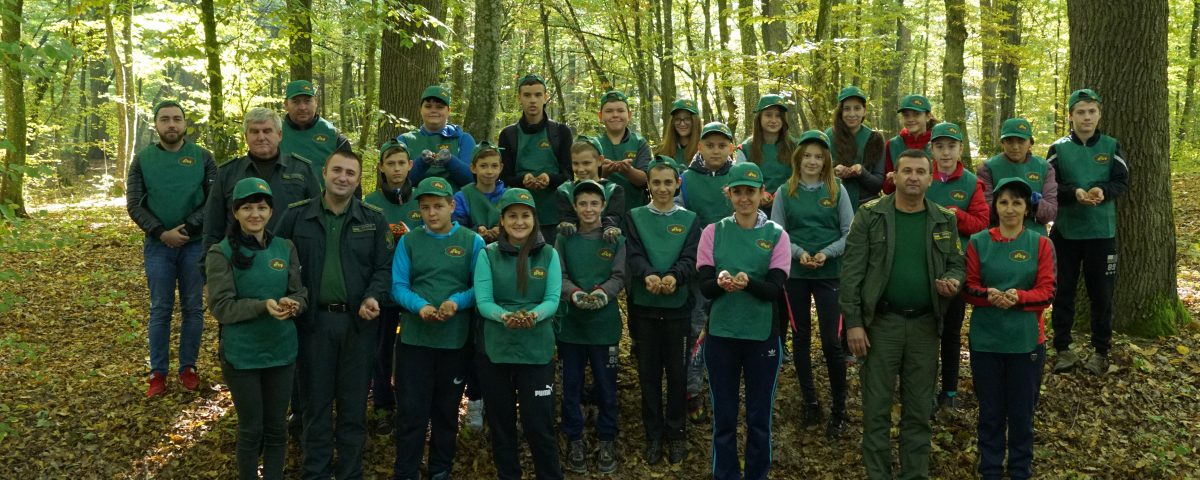 Майбутнє лісу у твоїх руках: лісівники Берегівщини разом із дітьми відтворюють ліси (ВІДЕО)