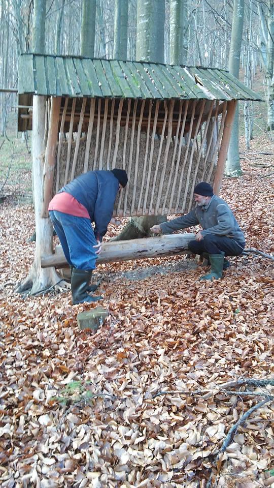 Лісівники Березнянщини розпочали підгодівлю диких тварин