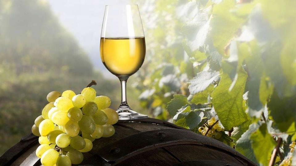 Закарпатським виноробам: отримати ліцензію на виробництво стало простіше