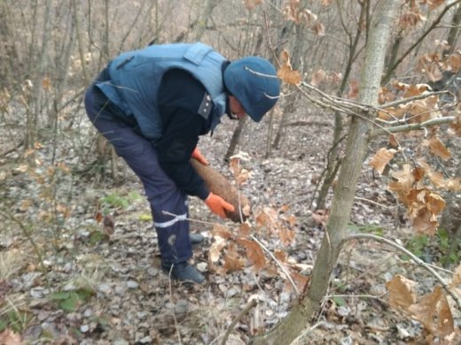 На Закарпатті знайдено та знешкоджено снаряд та міну часів Другої світової війни