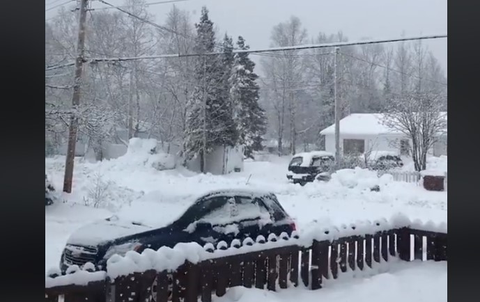 В Канаді зима настала раніше свого часу: падає сніг (ВІДЕО)