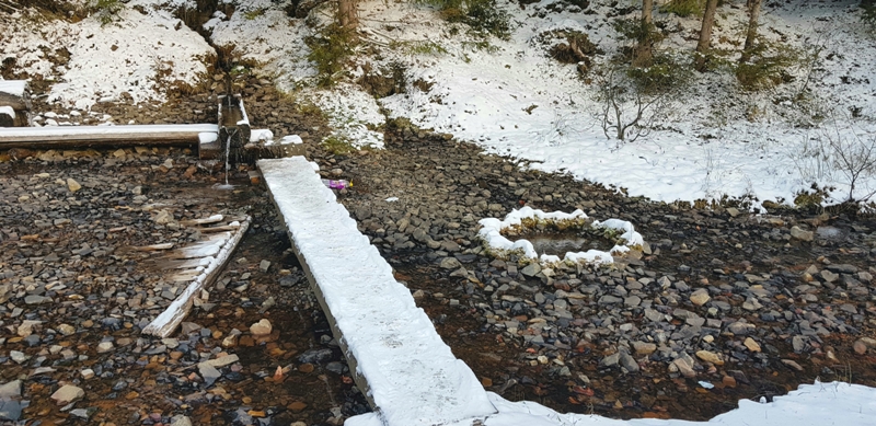 У закарпатських горах у крижаних купелях зцілюються снігові русалки