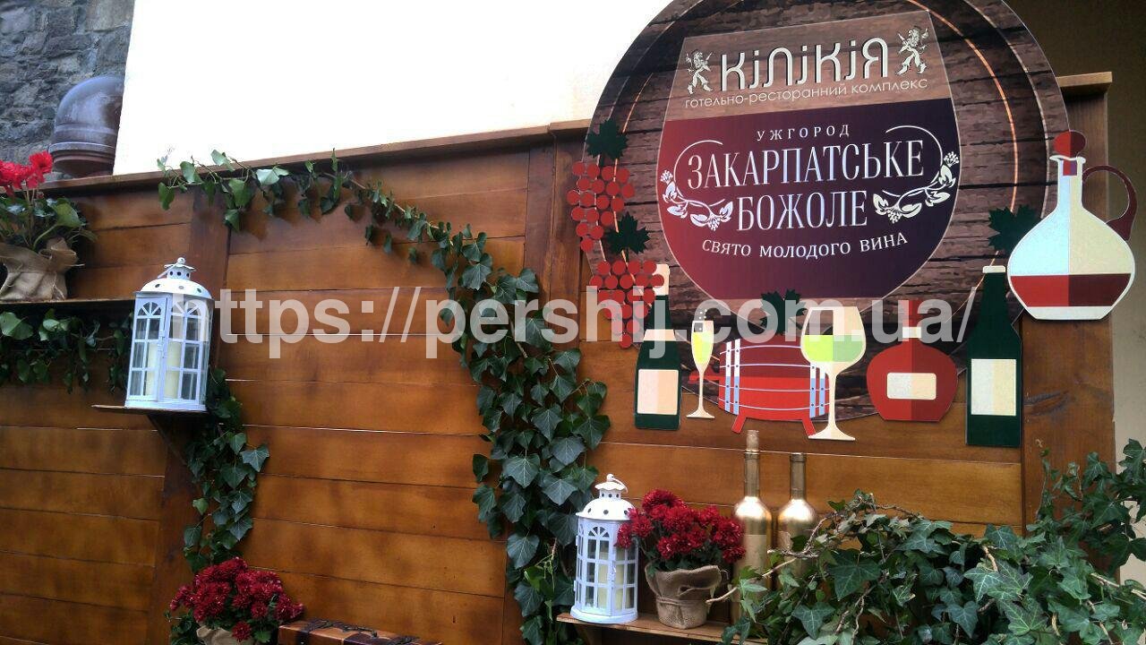 В Ужгороді стартував фестиваль молодого вина (Фото)