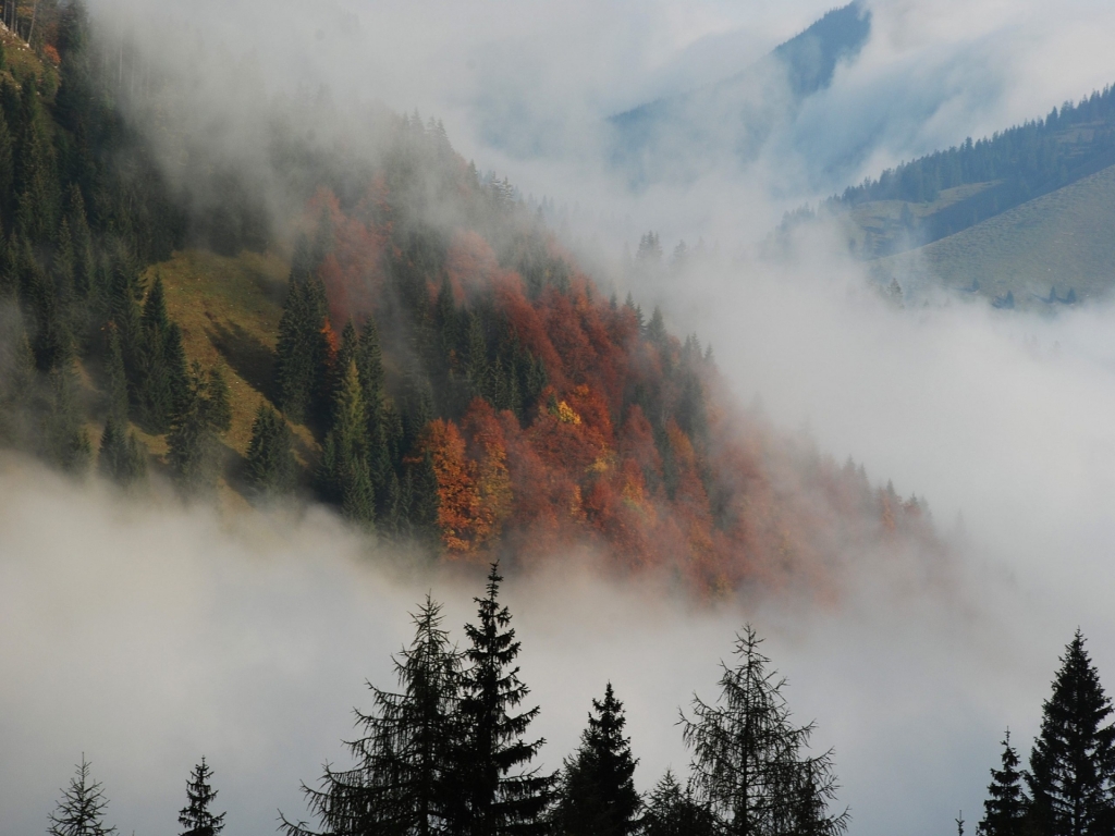 Прогноз погоди 11 листопада: на Закарпатті мінлива хмарність, туман