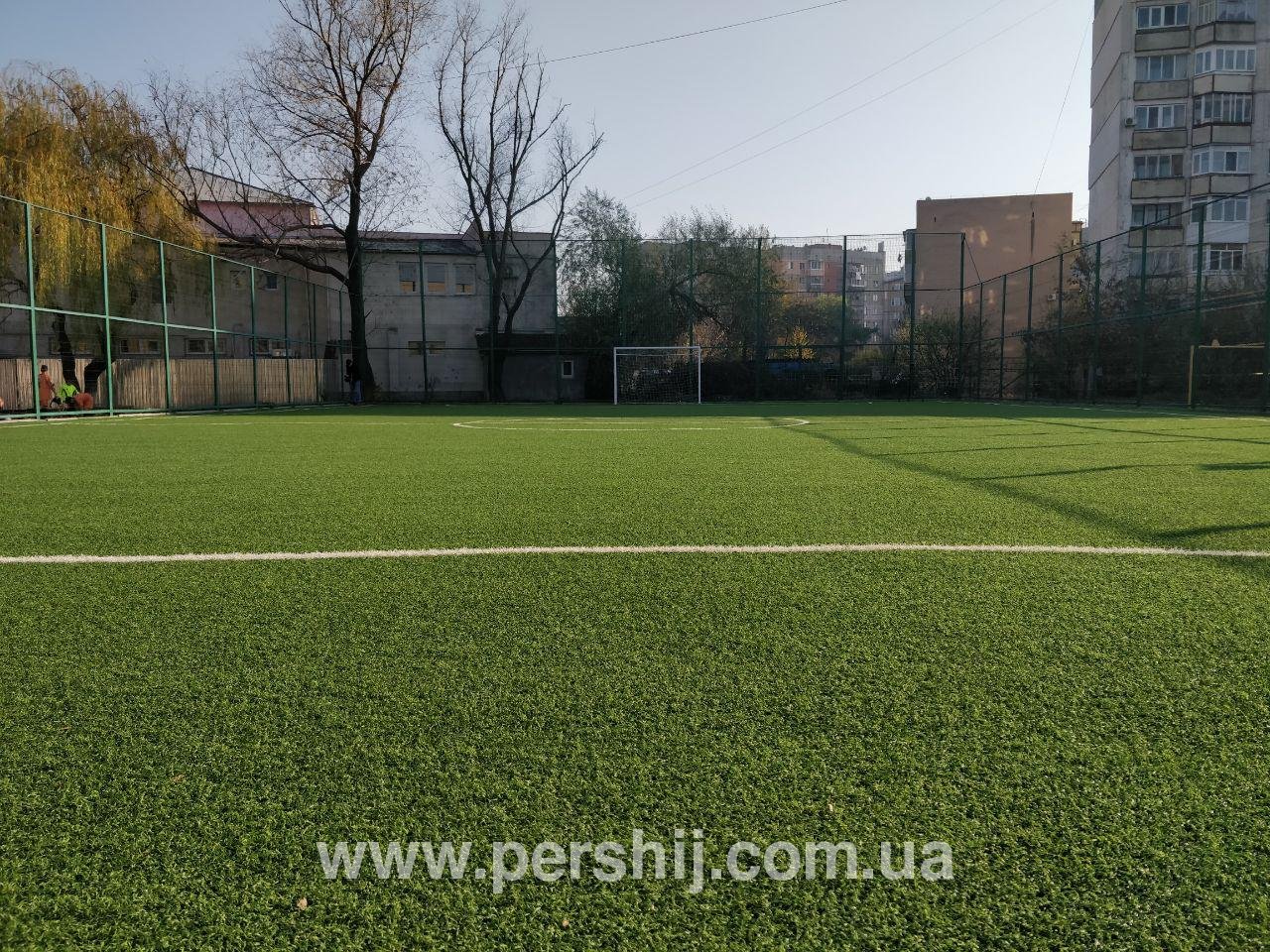 Вічнозелений: в Ужгородській школі відкрили спортивний майданчик (ФОТО)