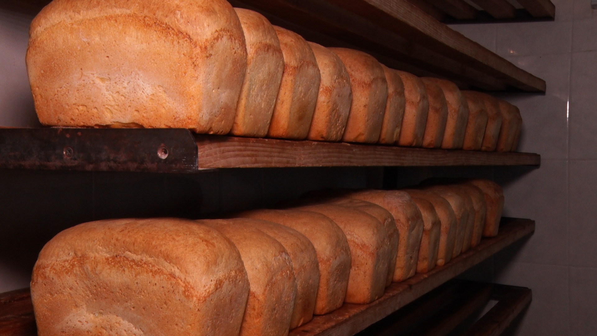 В Ужгороді стартувала благодійна акція: «Хліб від святого Миколая» (ВІДЕО)