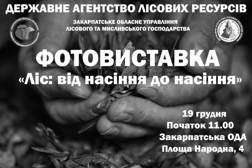 В Ужгороді у Закарпатській ОДА відкривають фотовиставку закарпатських фотографів «Ліс: від насіння до насіння»