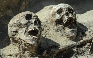 Жахаюча знахідка: у цистерні поруч приватного будинку виявили два людські скелети