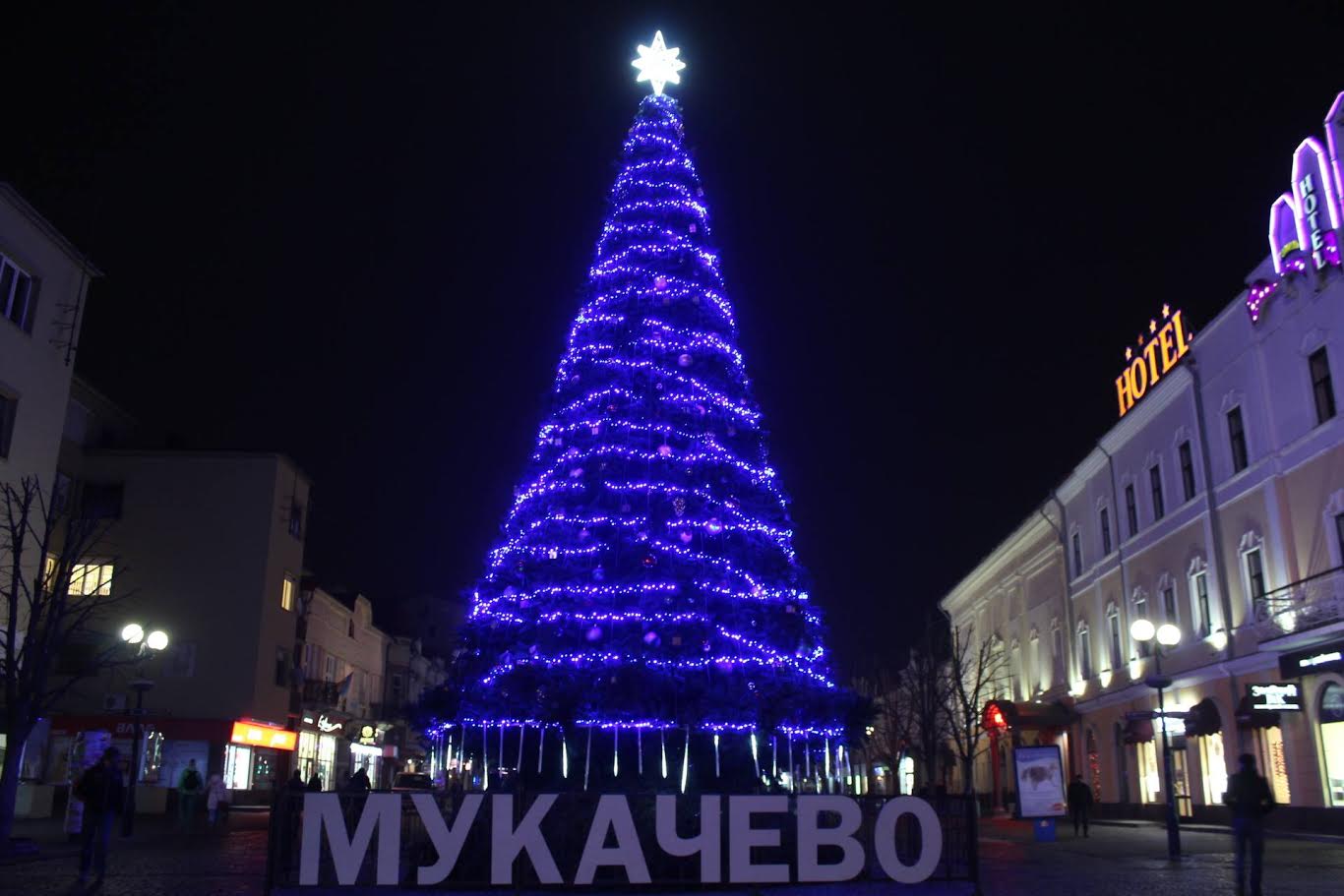 Голосування стартувало: відомі імена кандидатів на запалення новорічної ялинки у Мукачеві 2019 (ФОТО)