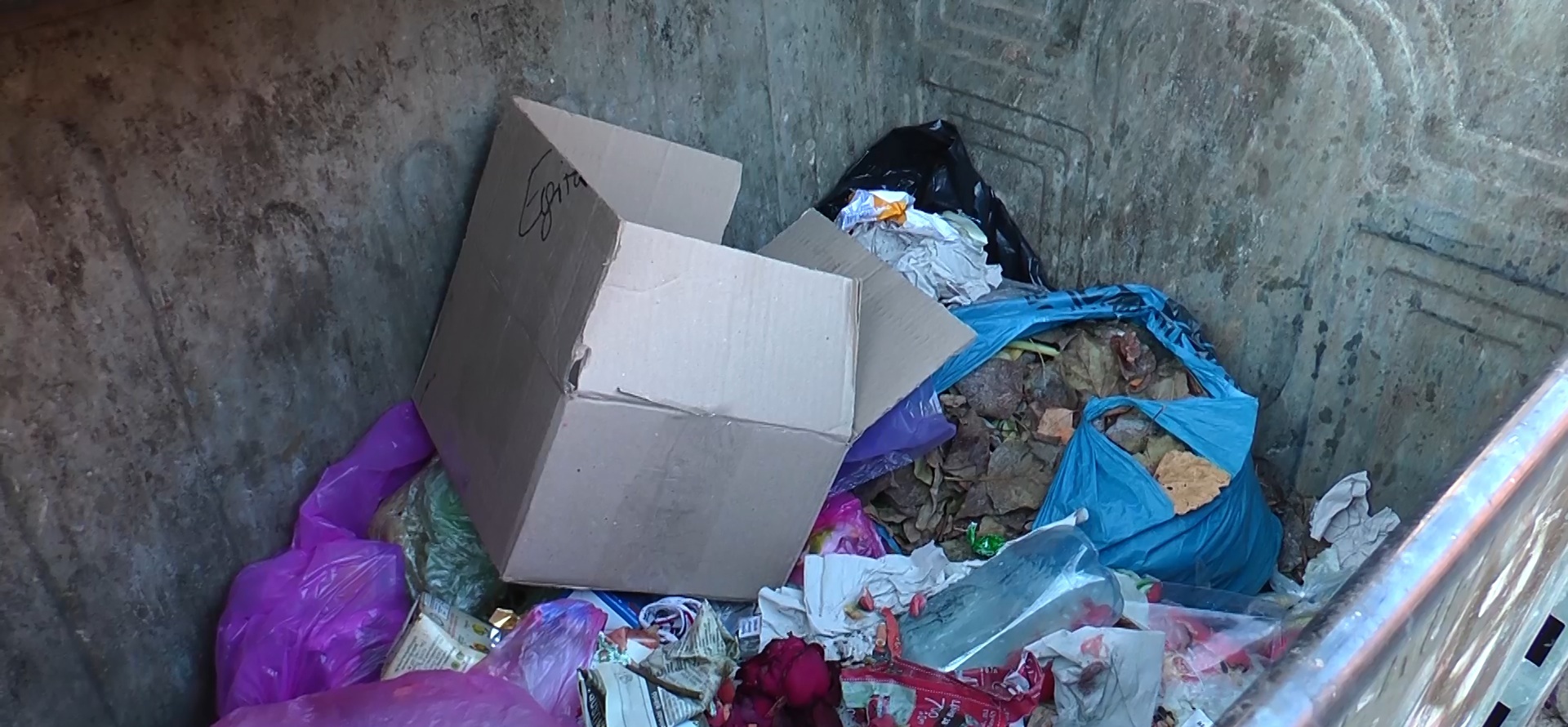 У Виноградові роми копирсаються у смітті, створюючи дискомфорт жителям міста (ВІДЕО)