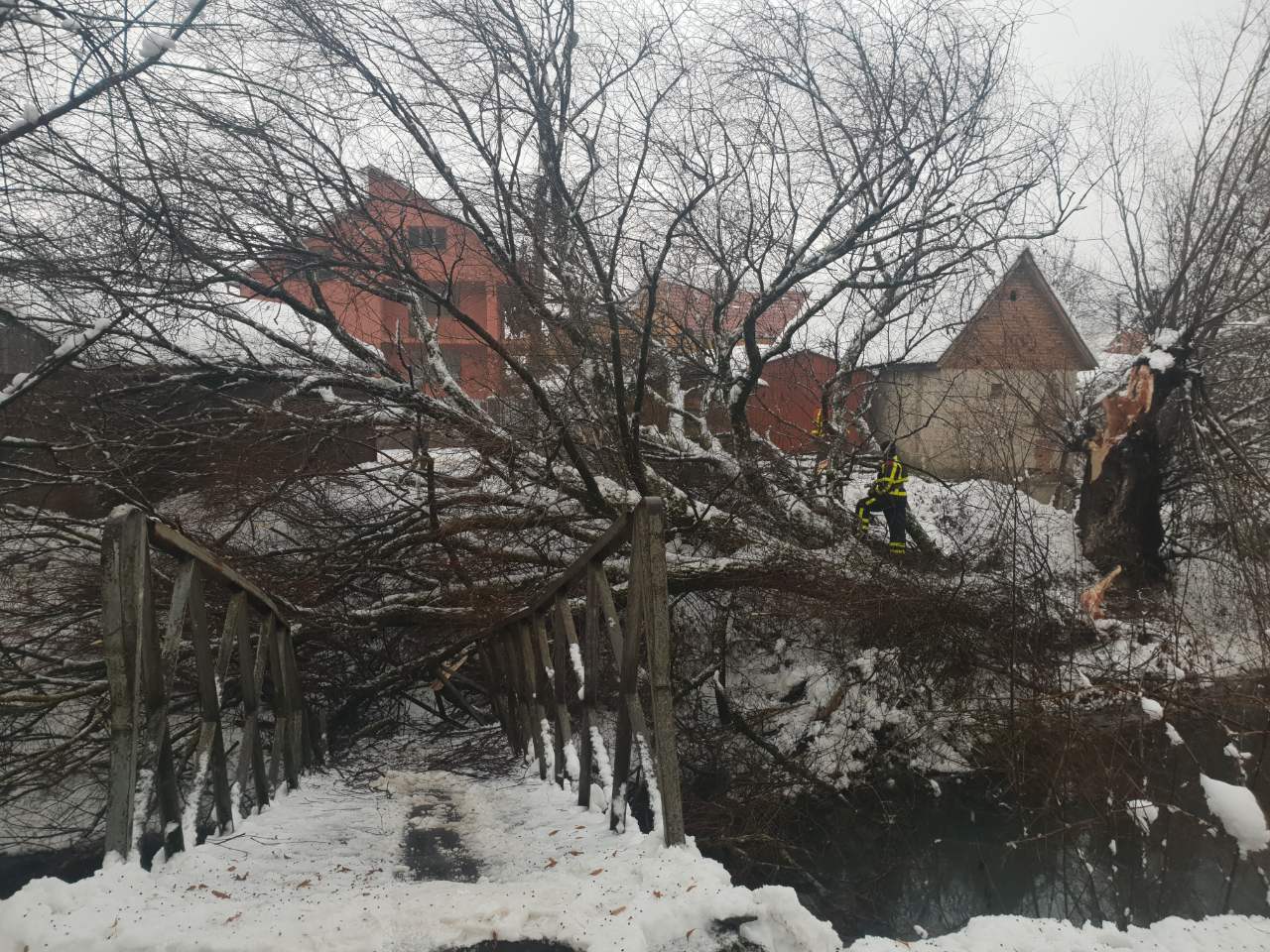 У Хусті дерево зруйнувало пішохідний міст через Хустець (ФОТО)