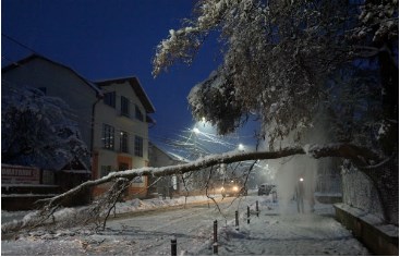 У місті Тячів та у селі Вонігово снігопад повалив дерева: рятувальники ліквідували наслідки (ФОТО)