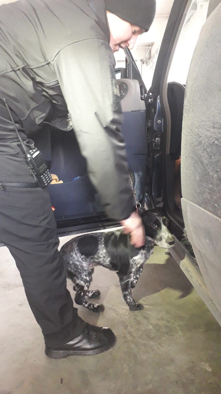 На КПП "Ужгород" прикордонний пес винюхав наркотики в автівці українця