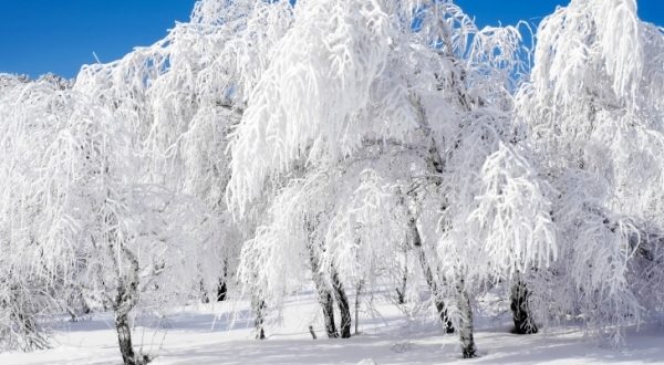 Чи буде зима в Україні холодною: синоптики дають детальний прогноз