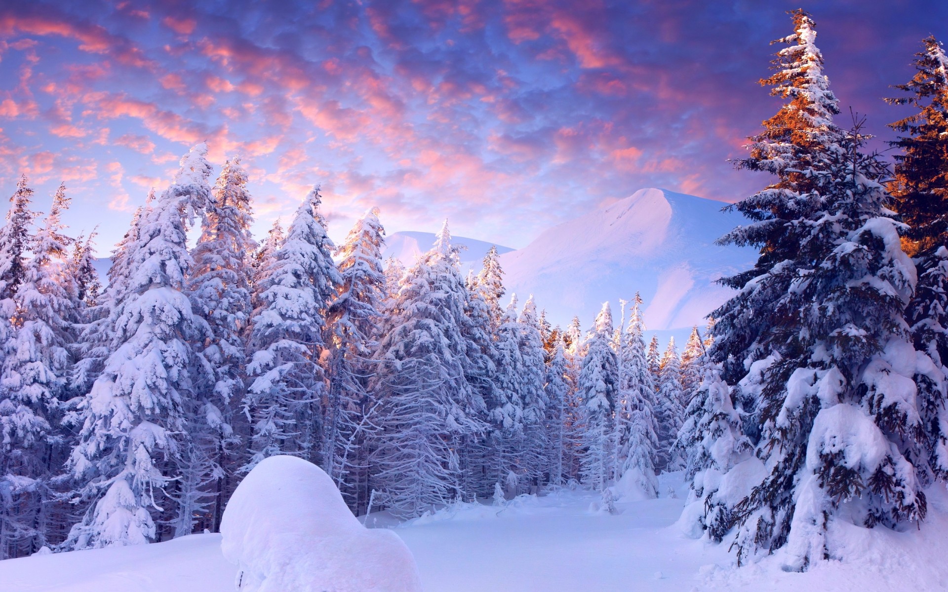 Прогноз погоди 2 грудня: на Закарпатті без істотних опадів, до - 13° морозу