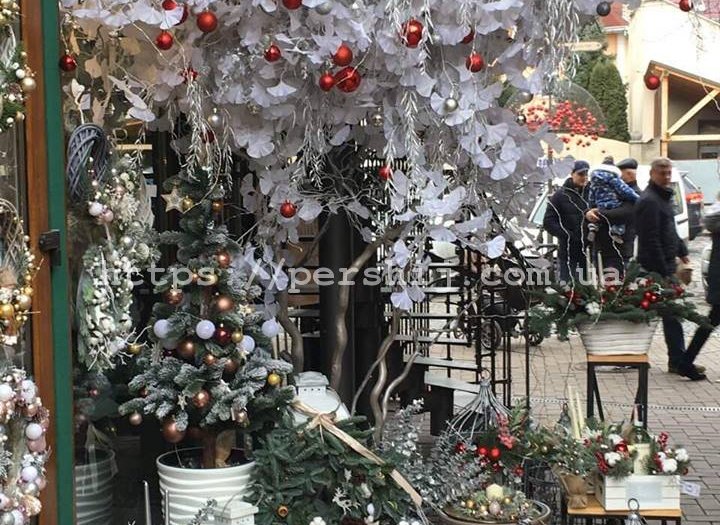 Ужгород готується до новорічних свят (ФОТО)