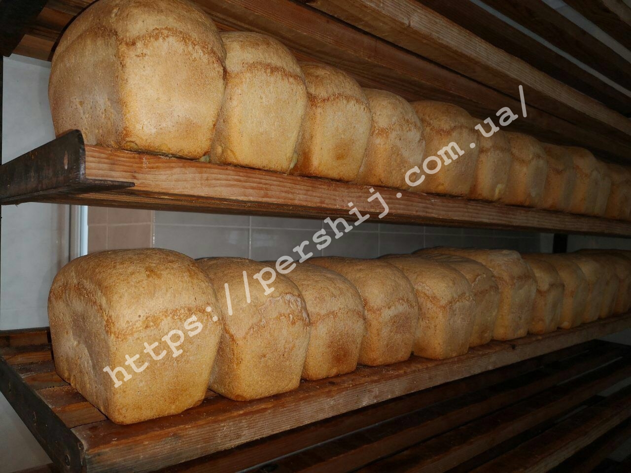 В Ужгороді стартувала благодійна акція: «Хліб від святого Миколая» (ФОТО)