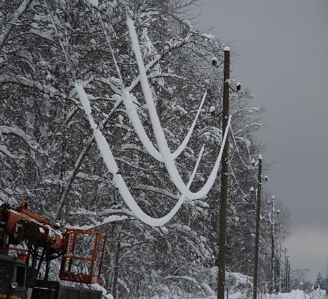 На Закарпатті 20 сіл залишились без світла через налипання снігу