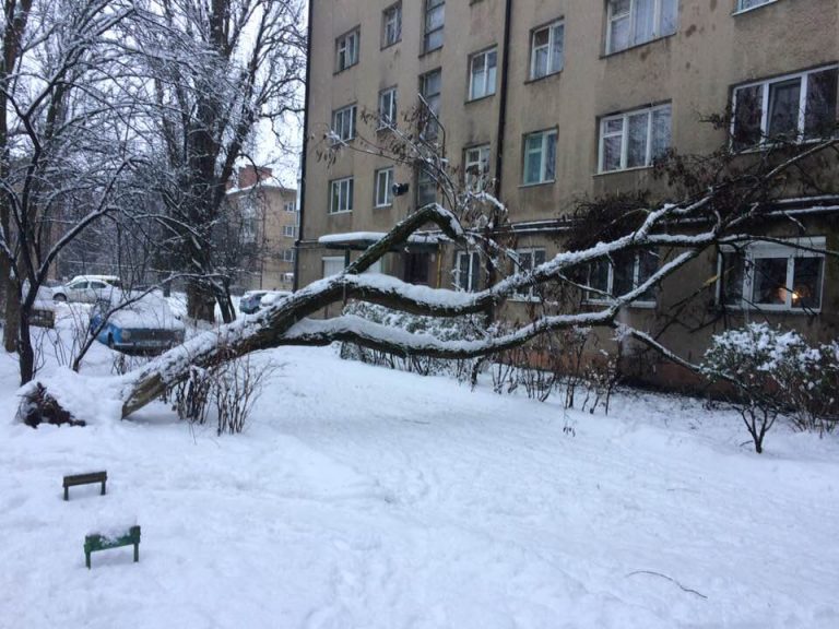 Надмірна кількість снігу стала причиною надзвичайної ситуації в Ужгороді (ФОТО)
