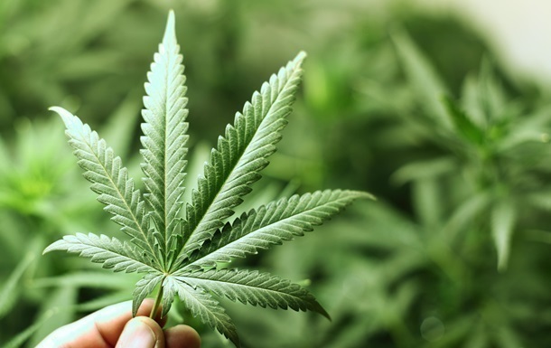 Уляна Супрун розповіла про користь марихуани та закликала підтримати легалізацію канабіса в лікувальних цілях