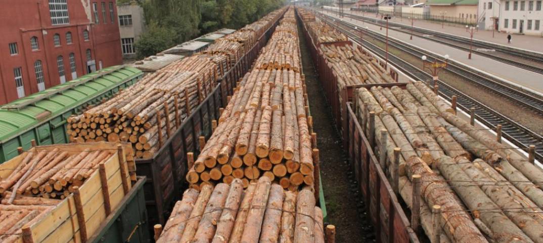 З 1 січня 2019 року в Україні за незаконне вивезення лісоматеріалів встановленно кримінальну відповідальність