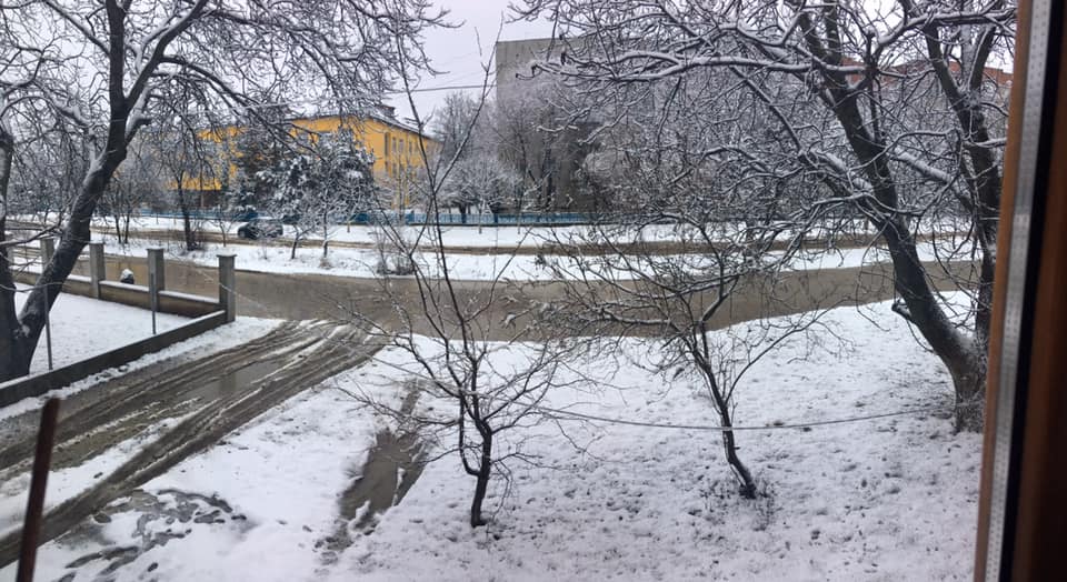У Мукачеві дорікають меру за невиконані обіцянки та затоплені вулиці (ФОТО)