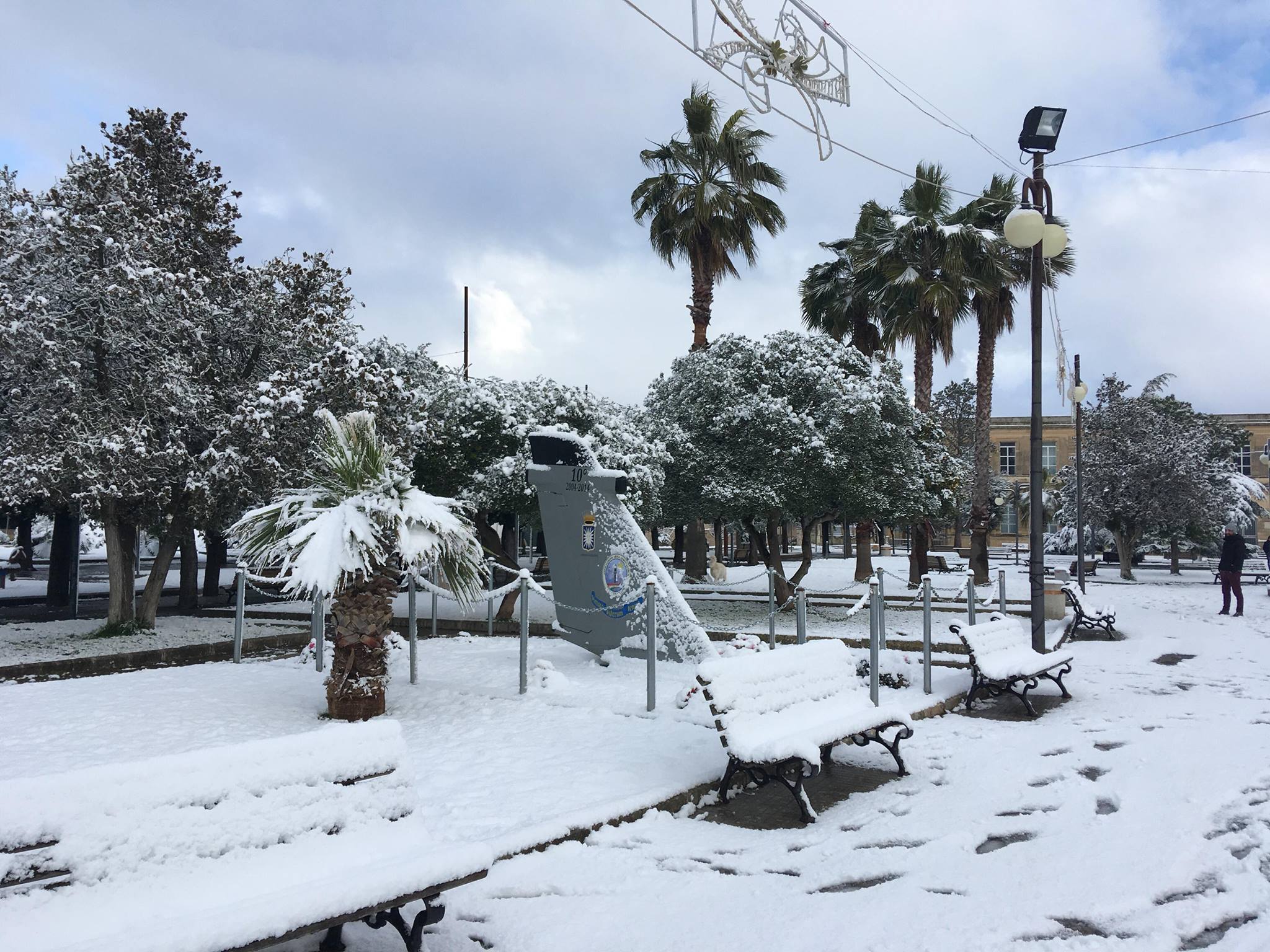 Пальми в снігу: в італійському Саленто зиму не бачили останні 25 років