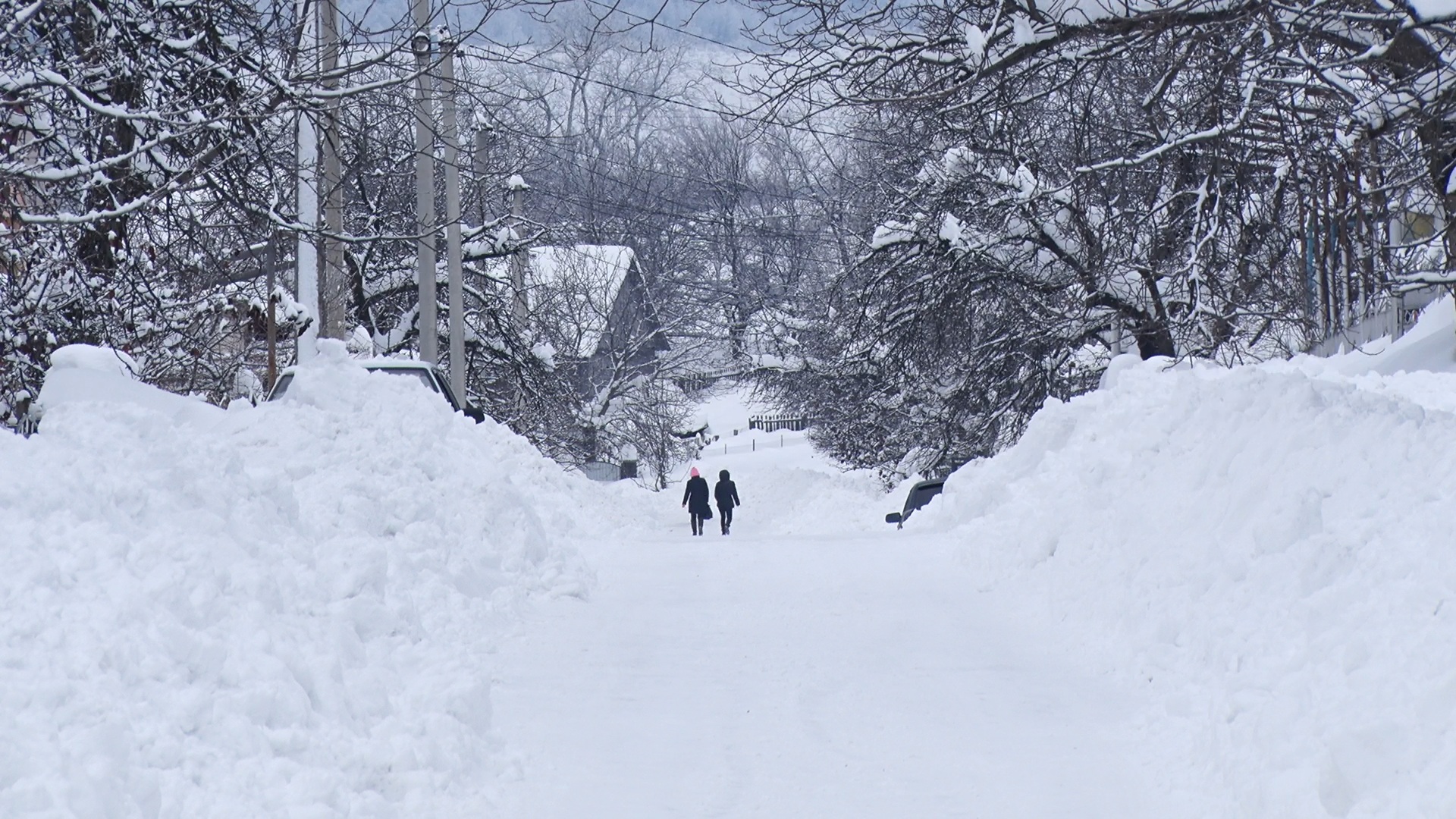 Мешканці Чорного потоку, що на Іршавщині, потерпають від снігів (ВІДЕО)