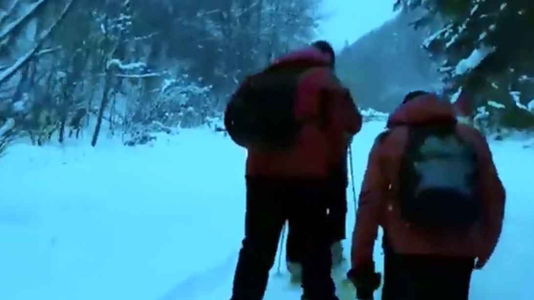 В горах Закарпаття досі шукають заблукалого на Різдво лижника з Києва (ВІДЕО)