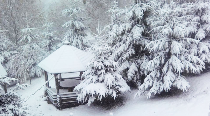 Погода в Закарпатській області станом на 02 січня