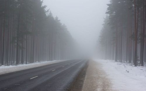Обережно, туман та ожеледиця: погода на Закарпатті 13 січня