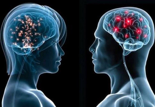 Чим відрізняється чоловічий і жіночий мозок і на що це впливає