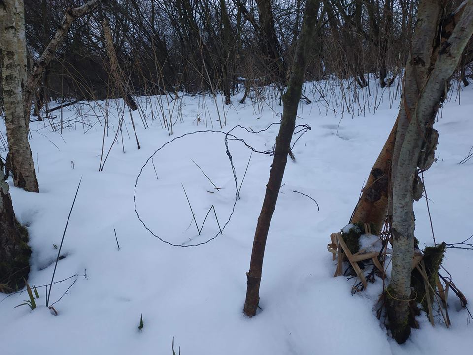 Смертельні пастки у Карпатських лісах: браконьєри жорстоко вбивають диких тварин (фото 18+)