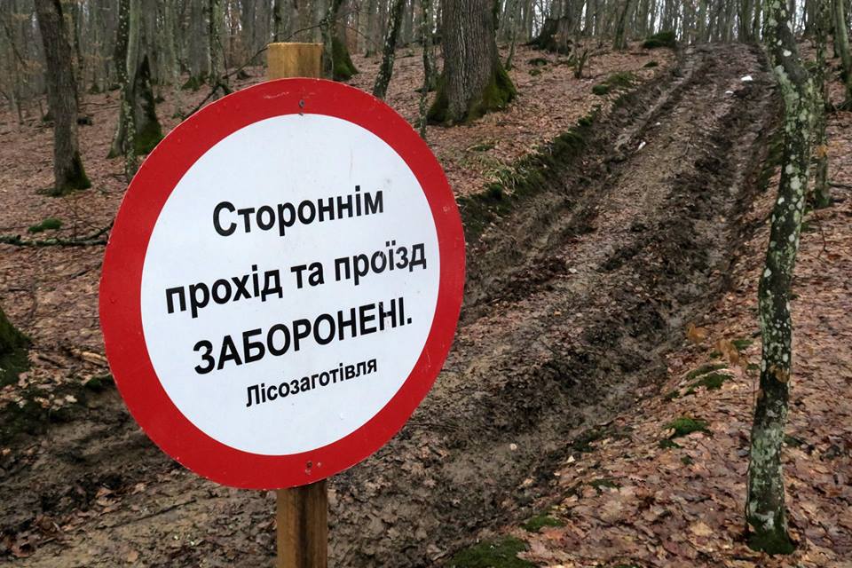 Карпатські ліси гинуть на очах: мережею поширюють світлини пагубної людської діяльності (ФОТО)